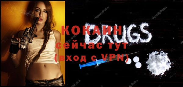 соль ск Надым