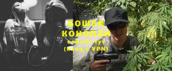 соль ск Надым
