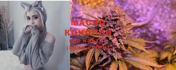 соль ск Надым
