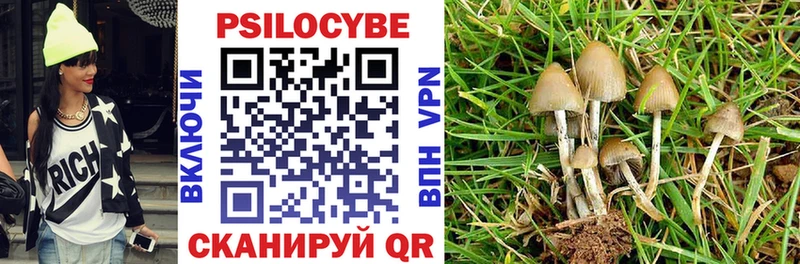 Псилоцибиновые грибы Psilocybe  сайты даркнета официальный сайт  Ува  блэк спрут ССЫЛКА 
